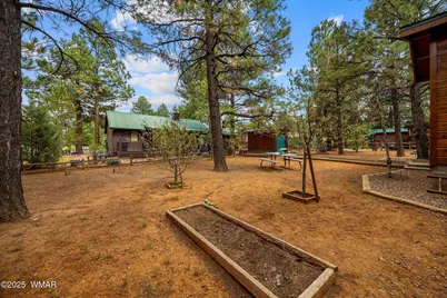 2702 Palomino Trail, Overgaard, AZ 85933 - Photo 28