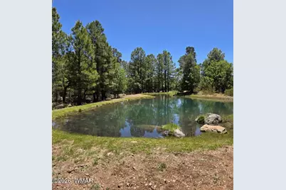 731 S Barberry Lane, Show Low, AZ 85901 - Photo 6