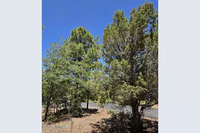 731 S Barberry Lane, Show Low, AZ 85901 - Photo 8