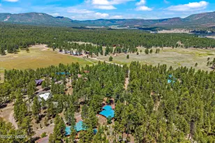20 County Rd N2120, Alpine, AZ 85920 - Photo 30