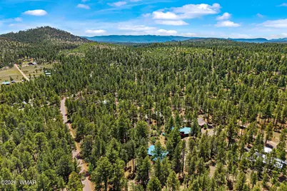 20 County Rd N2120, Alpine, AZ 85920 - Photo 32