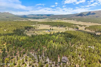 98 County Road 2266, Alpine, AZ 85920 - Photo 16