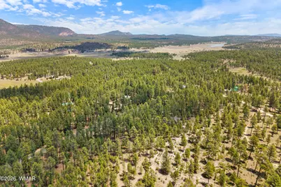 98 County Road 2266, Alpine, AZ 85920 - Photo 14