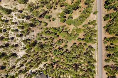 98 County Road 2266, Alpine, AZ 85920 - Photo 2