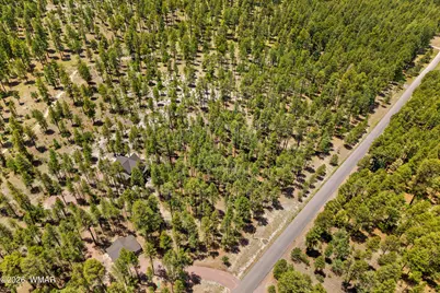98 County Road 2266, Alpine, AZ 85920 - Photo 10