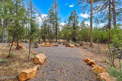 1980 Spring Creek Lane, Overgaard, AZ 85933 - Photo 58