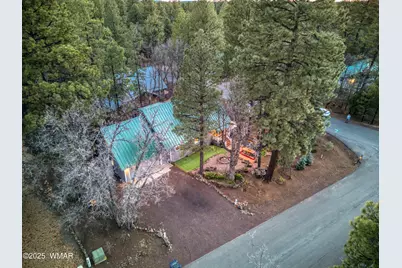 4211 Pinetree Lane, Pinetop, AZ 85935 - Photo 46