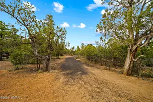 4361 W Shaggy Bark Rd, Show Low, AZ 85901 - Photo 76