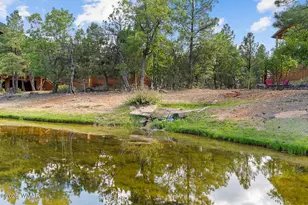 4361 W Shaggy Bark Rd, Show Low, AZ 85901 - Photo 68