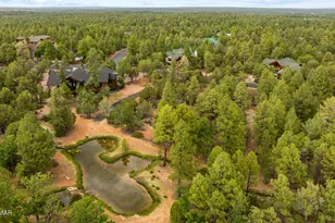 4361 W Shaggy Bark Rd, Show Low, AZ 85901 - Photo 86