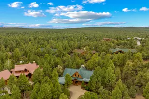 4361 W Shaggy Bark Rd, Show Low, AZ 85901 - Photo 78