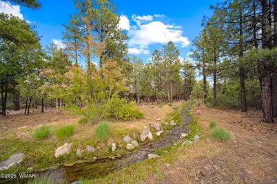 4361 W Shaggy Bark Road, Show Low, AZ 85901 - Photo 18