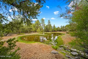 4361 W Shaggy Bark Rd, Show Low, AZ 85901 - Photo 16
