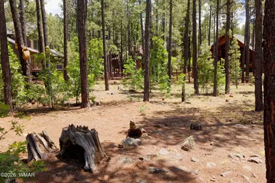 8489 Pine Wood Drive, Pinetop, AZ 85935 - Photo 2