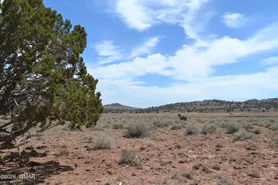 Lots 18,19 N8577 Road, Concho, AZ 85924 - Photo 14