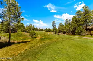 3724 W Torreon Ct, Show Low, AZ 85901 - Photo 44
