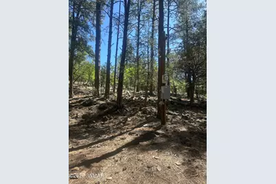 230 W Pine Shadow Drive, Lakeside, AZ 85929 - Photo 2
