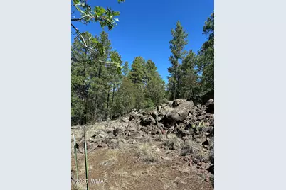 230 W Pine Shadow Drive, Lakeside, AZ 85929 - Photo 6
