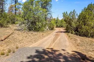 3130 Ranch Rd, Overgaard, AZ 85933 - Photo 32