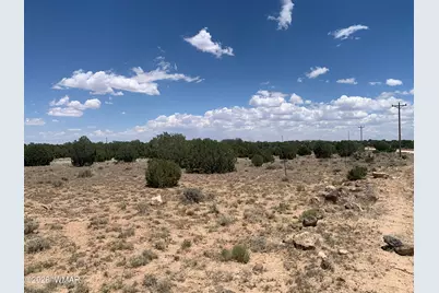 110 Mesa Redondo Ranch Road, Concho, AZ 85924 - Photo 6