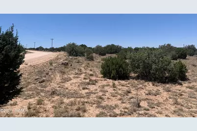 110 Mesa Redondo Ranch Road, Concho, AZ 85924 - Photo 8