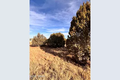 37 Cinder Dr, Concho, AZ 85924 - Photo 2