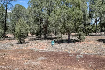 2661 N Eagle View Circle, Show Low, AZ 85901 - Photo 2