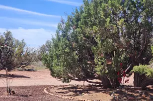 8564 Pueblo Ln, Snowflake, AZ 85937 - Photo 24