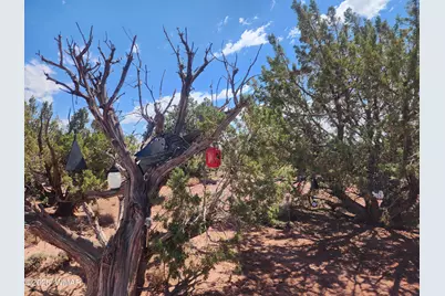 8564 Pueblo Lane, Snowflake, AZ 85937 - Photo 28