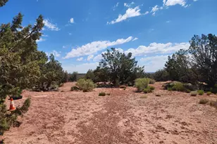8564 Pueblo Ln, Snowflake, AZ 85937 - Photo 30