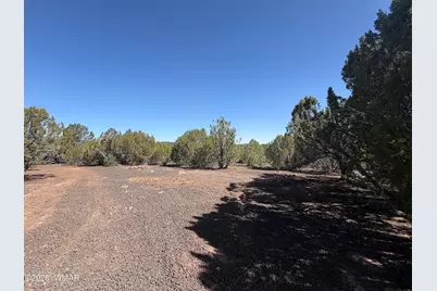 Lot Cr 3189, Vernon, AZ 85940 - Photo 2