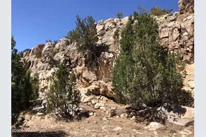 785 Twin Tanks Road, Heber, AZ 85928 - Photo 30