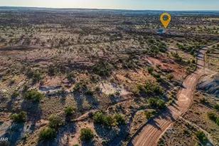 245 N 6400 River Springs Ranch, Saint Johns, AZ 85936 - Photo 14