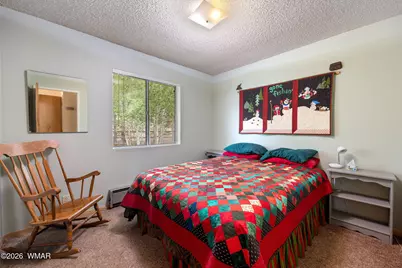 10 Rohrer Circle, Greer, AZ 85927 - Photo 18