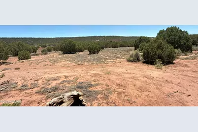 38 County Road 8283, Concho, AZ 85924 - Photo 8