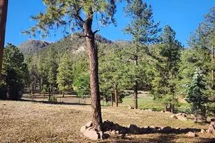 54 1st N St, Alpine, AZ 85920 - Photo 22