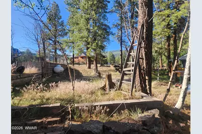 54 1st N Street, Alpine, AZ 85920 - Photo 16