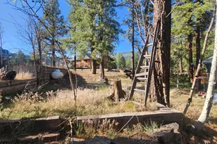 54 1st N St, Alpine, AZ 85920 - Photo 16