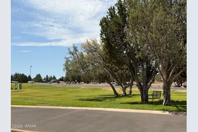 1929 Foxtrot Lane, Unit Lot 81 #Lot 81, Show Low, AZ 85901 - Photo 4