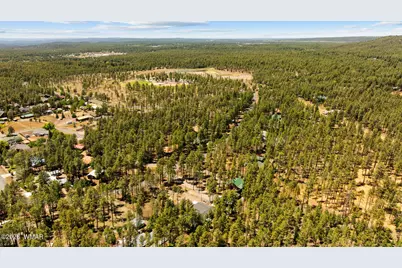2155 S Woodland Lane, Pinetop, AZ 85935 - Photo 62