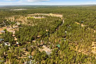2155 S Woodland Ln, Pinetop, AZ 85935 - Photo 62
