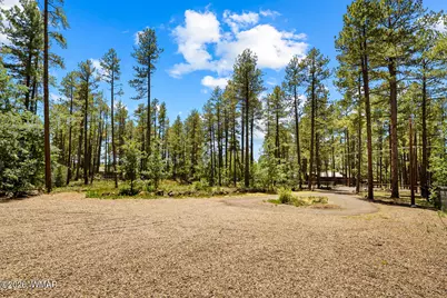 2155 S Woodland Lane, Pinetop, AZ 85935 - Photo 56