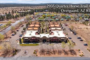 2395 Quarter Horse Trl, Overgaard, AZ 85933 - Photo 20