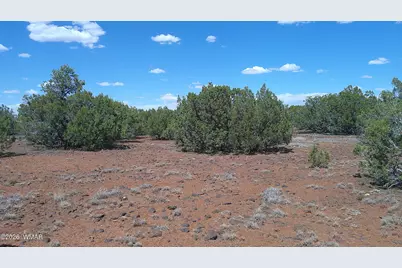 5 County Road 8077, Concho, AZ 85924 - Photo 4
