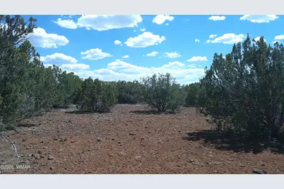 5 County Road 8077, Concho, AZ 85924 - Photo 2