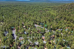 1919 E Sierra Pine Loop, Pinetop, AZ 85935 - Photo 28