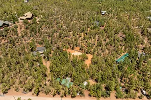 1862 Maryanne Rd, Show Low, AZ 85901 - Photo 54