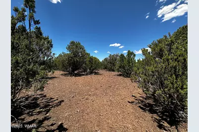 Lot 16 Acr 3028, Vernon, AZ 85940 - Photo 4