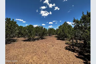 Lot 16 Acr 3028, Vernon, AZ 85940 - Photo 2