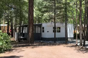4316 Racoon Ct, Pinetop, AZ 85935 - Photo 34
